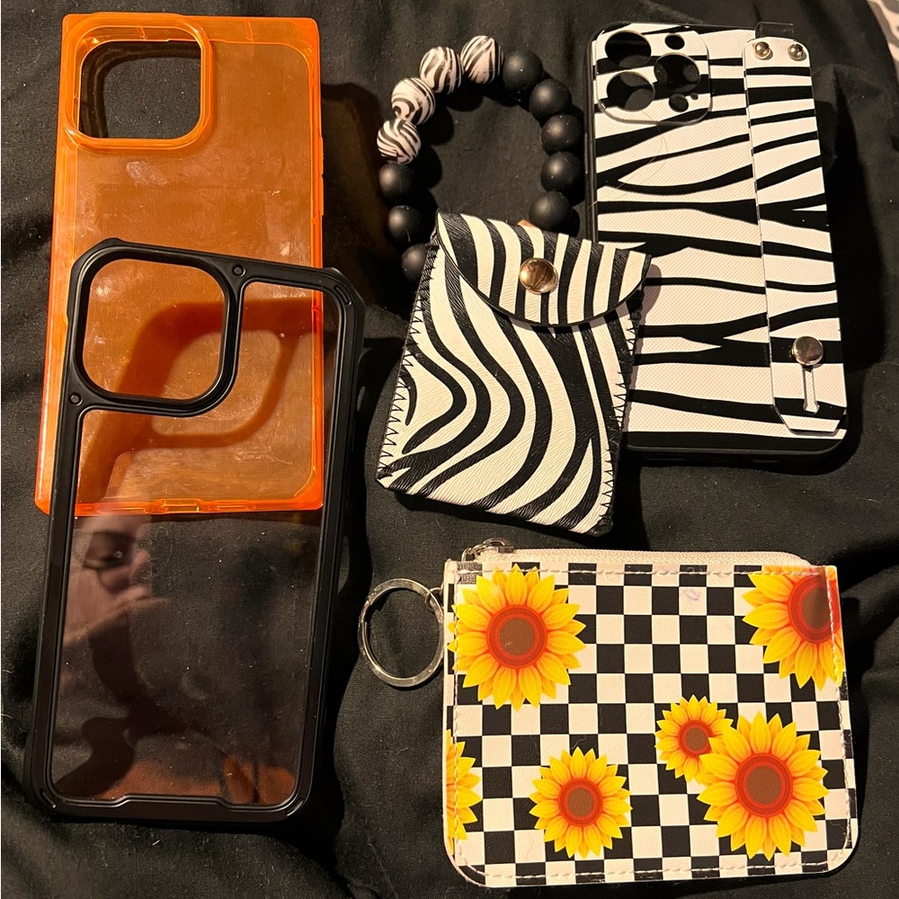 13 Pro Max Cases